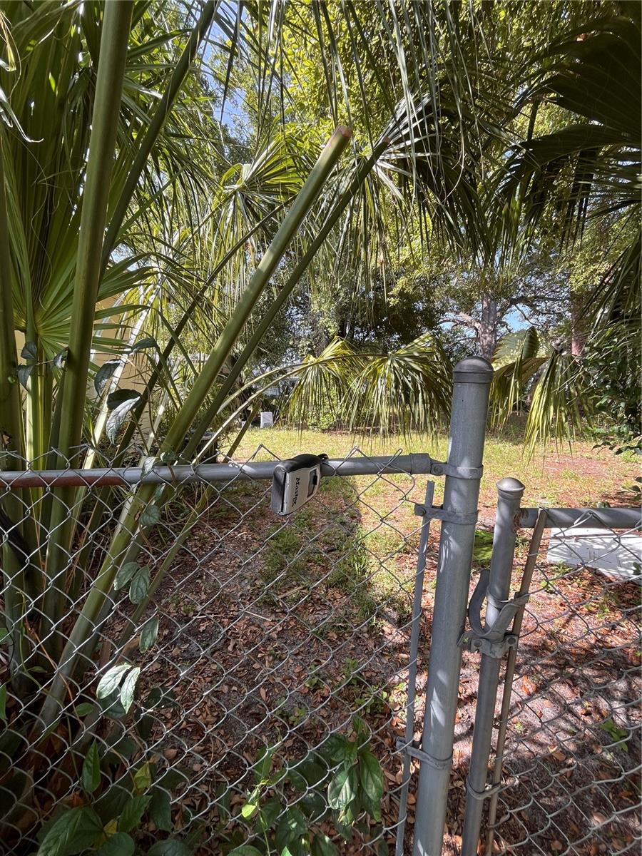 3702 Ohio, Tampa, FL 33611