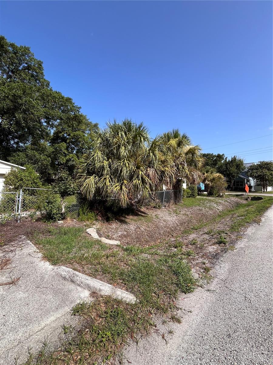 3702 Ohio, Tampa, FL 33611