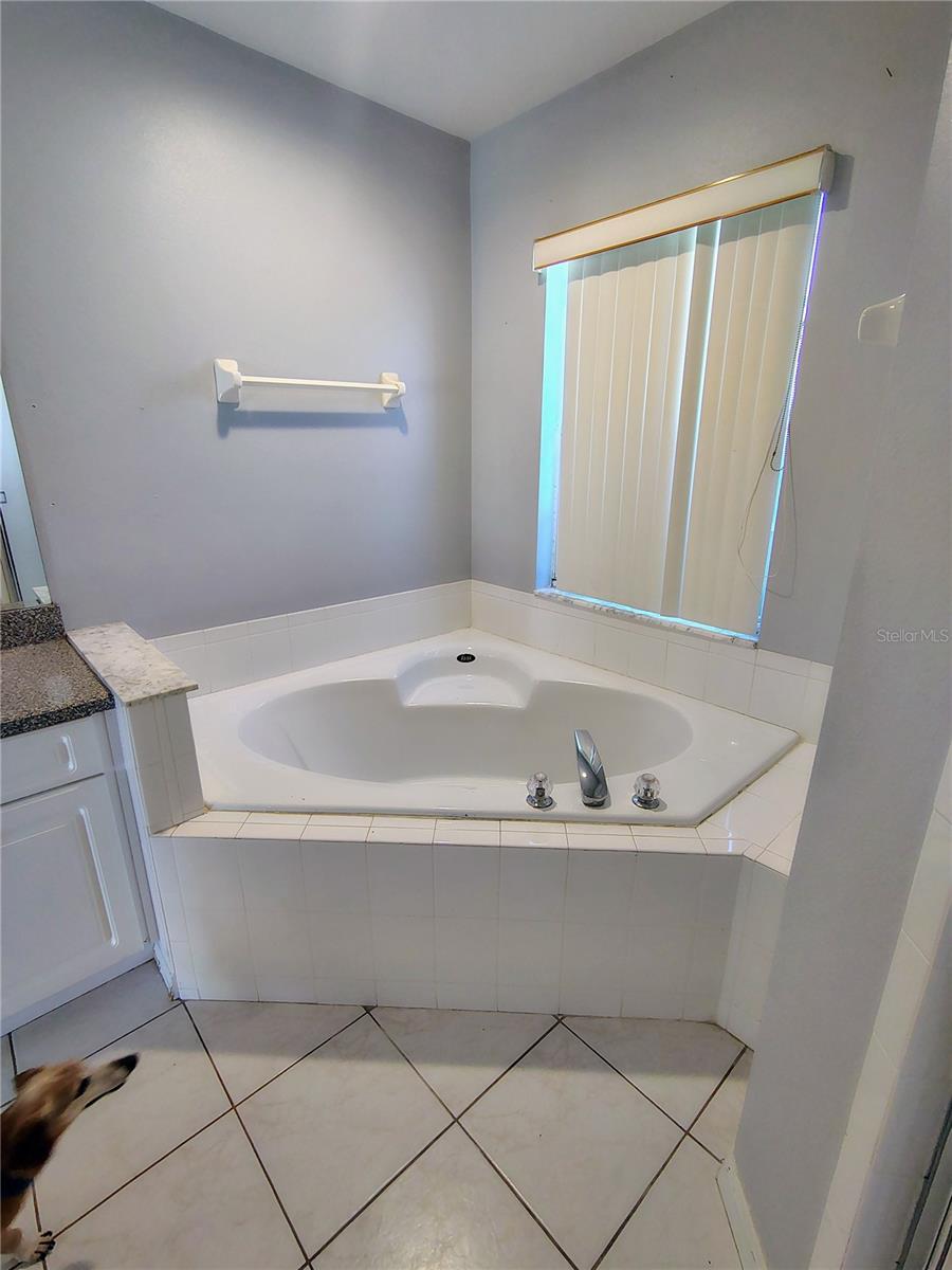 3248 Sawgrass Creek, St Cloud, FL 34772