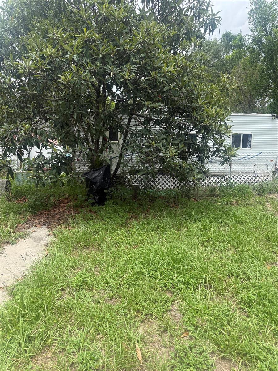 3012 Albany, Tampa, FL 33607