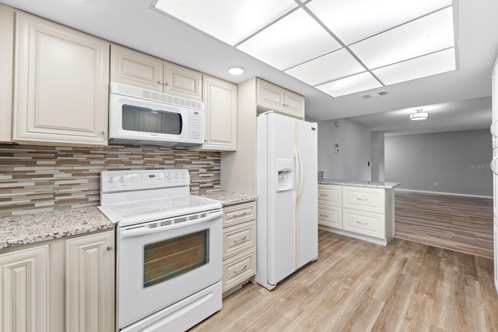 1409 Langley Unit 1409, Sun City Center, FL 33573