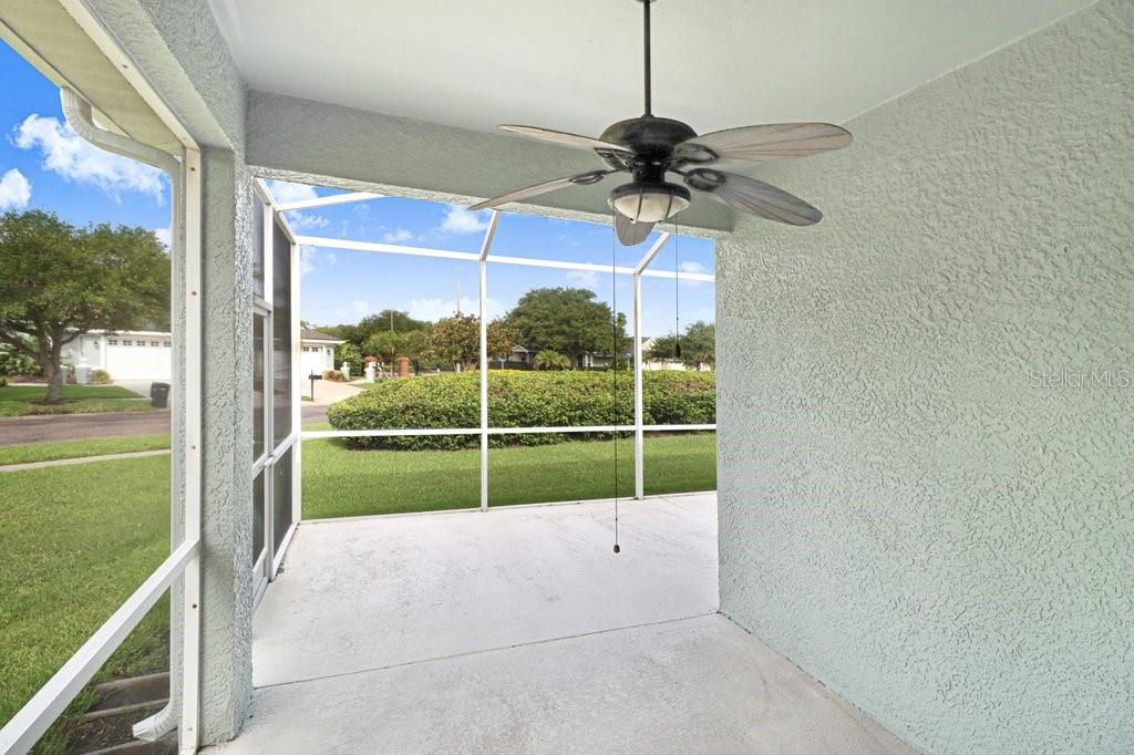9831 Gingerwood, Tampa, FL 33626