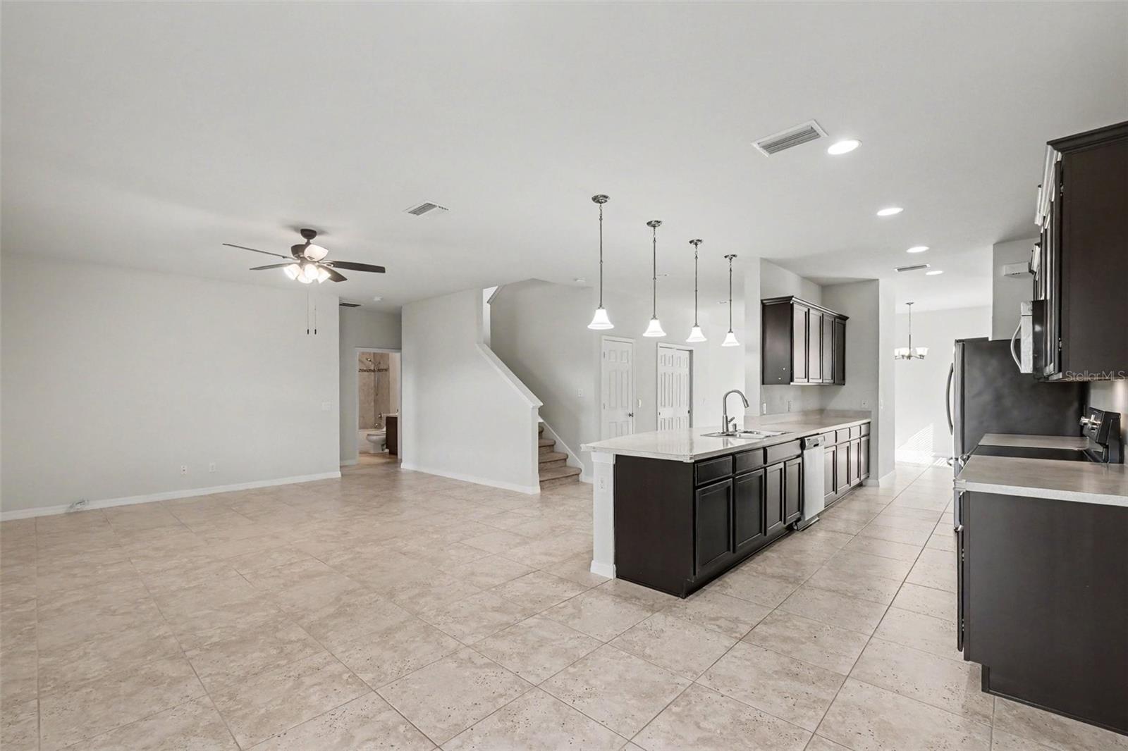 9217 European Olive, Riverview, FL 33578