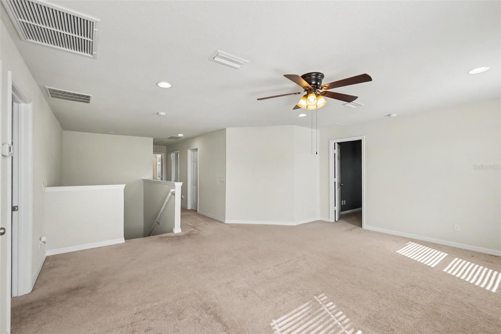 9217 European Olive, Riverview, FL 33578
