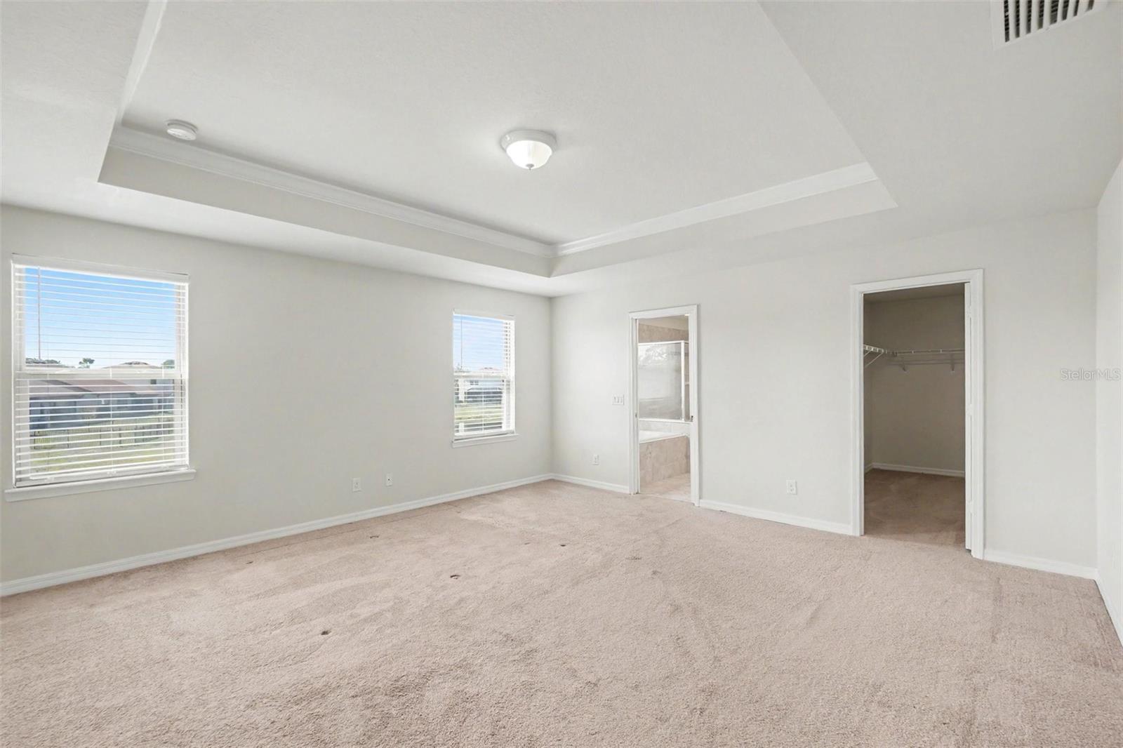9217 European Olive, Riverview, FL 33578