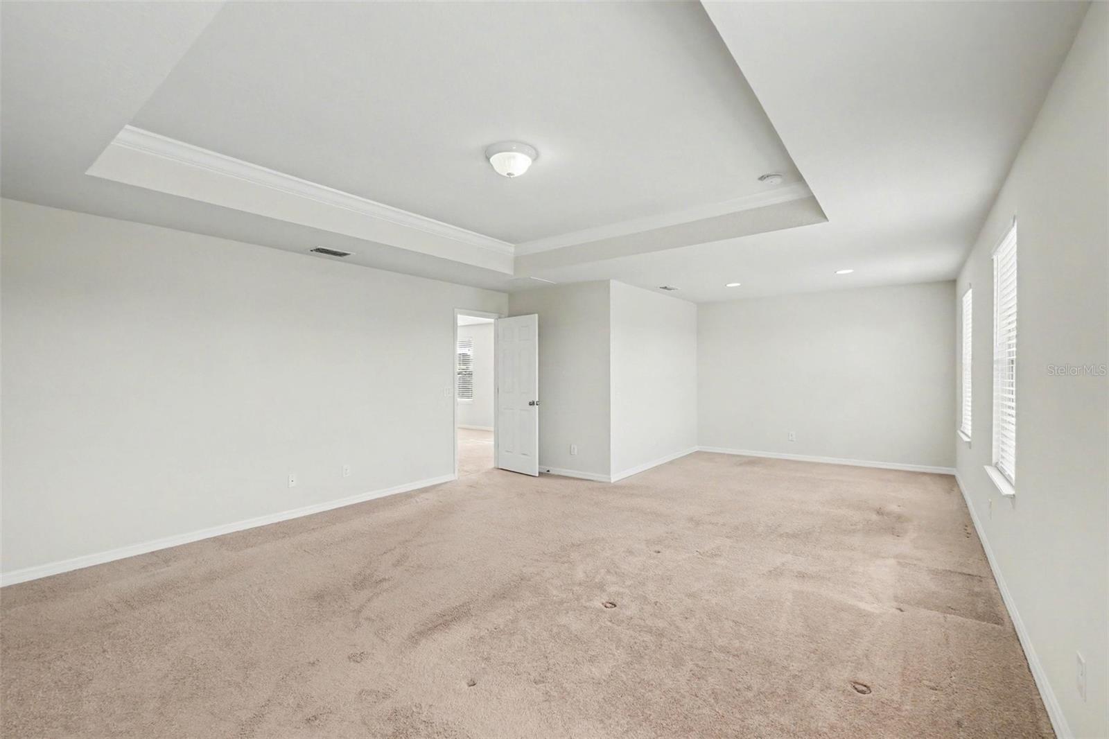 9217 European Olive, Riverview, FL 33578