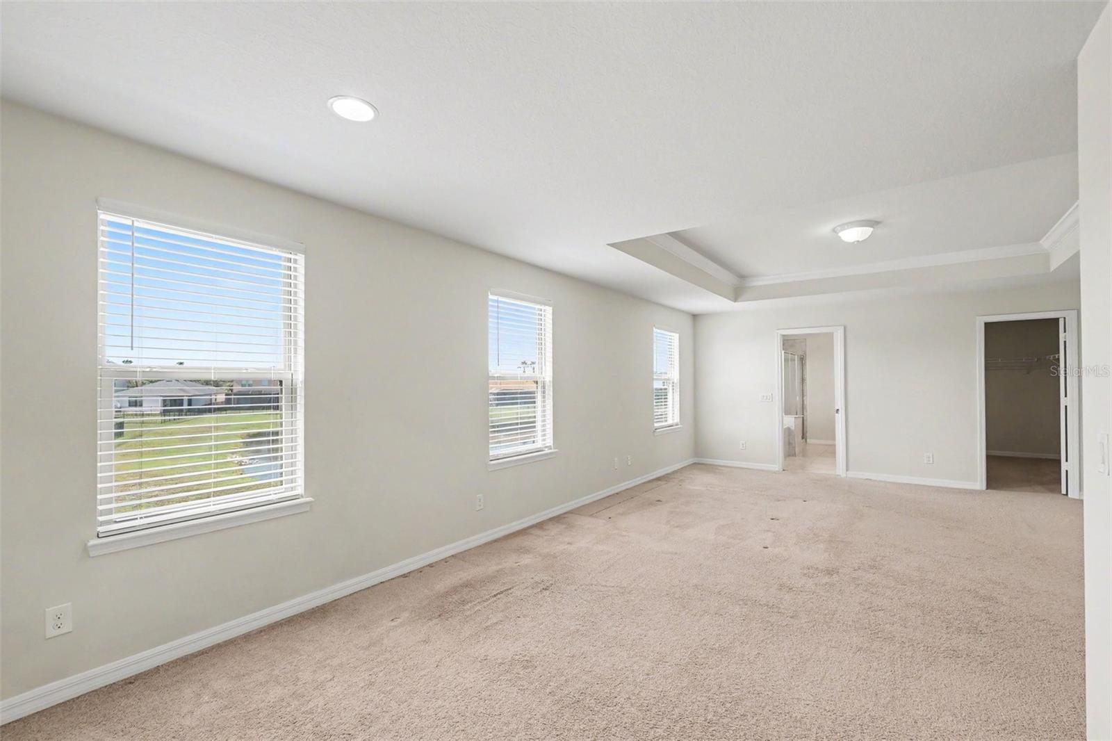 9217 European Olive, Riverview, FL 33578