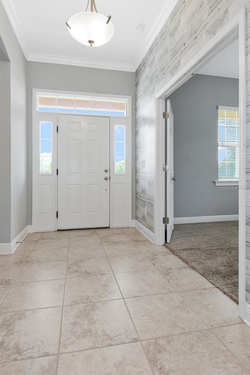8703 Alafia Hills, Plant City, FL 33567