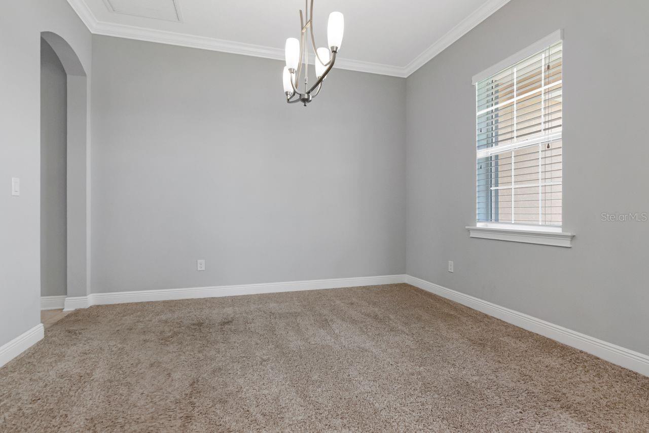 8703 Alafia Hills, Plant City, FL 33567