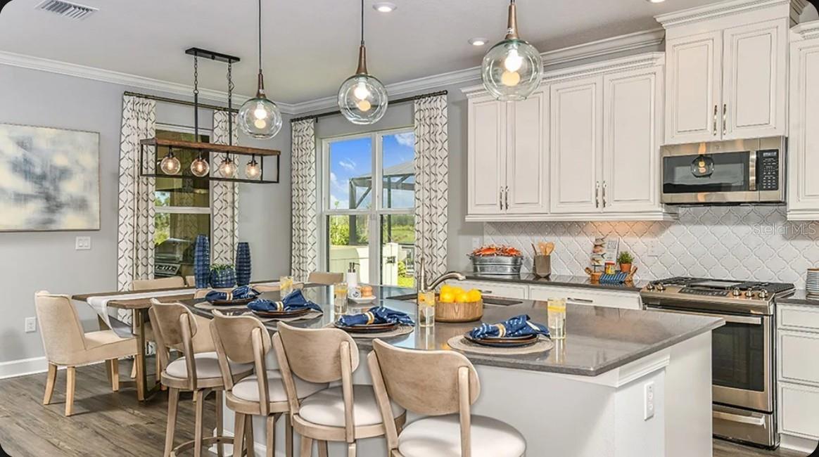 3826 Masaniello, Wesley Chapel, FL 33543