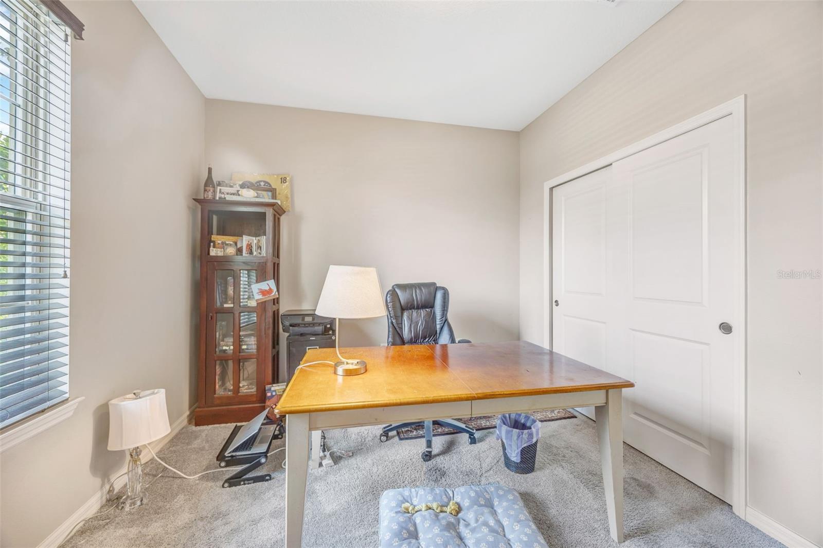 18928 Willowmore Cedar, Lutz, FL 33558