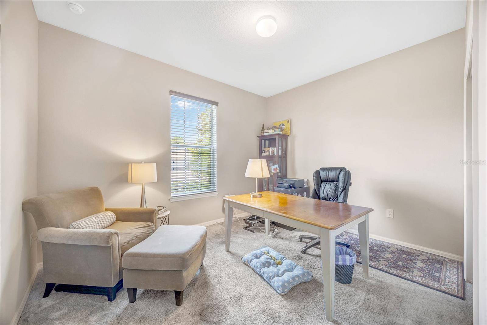 18928 Willowmore Cedar, Lutz, FL 33558