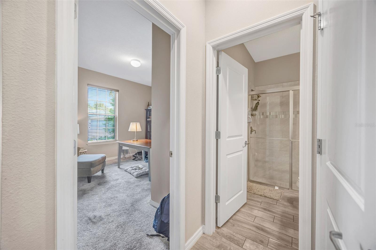 18928 Willowmore Cedar, Lutz, FL 33558