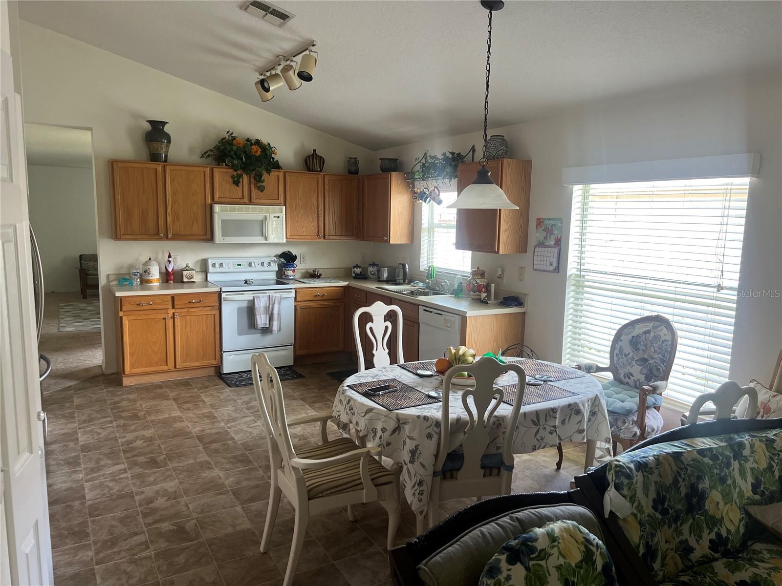 1815 Americus Minor, Winter Garden, FL 34787
