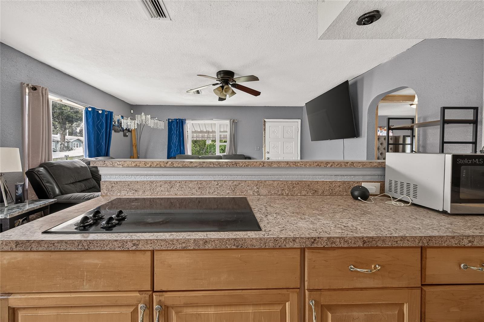 804 Flora, Tampa, FL 33604
