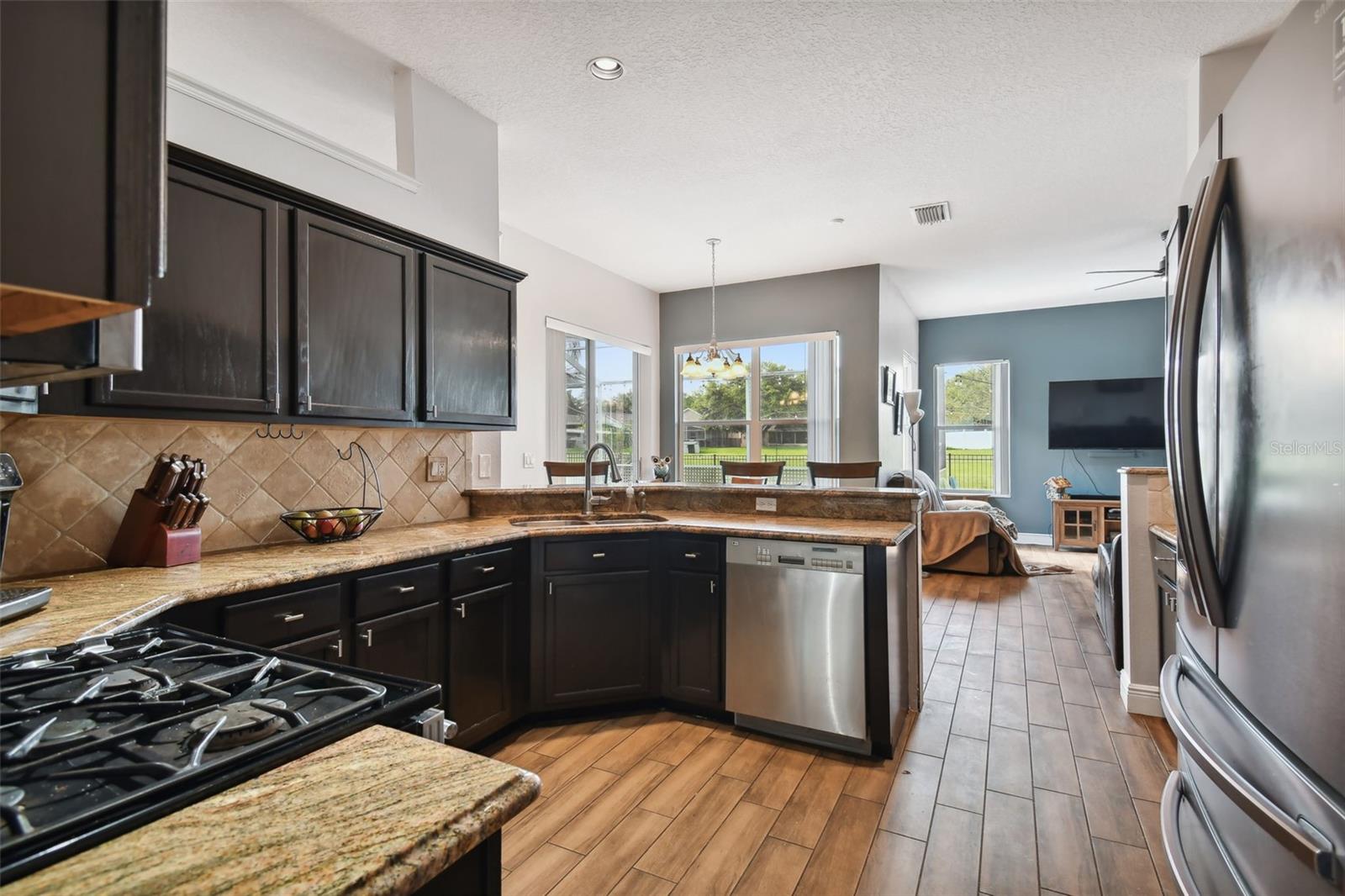 16920 Falconridge, Lithia, FL 33547