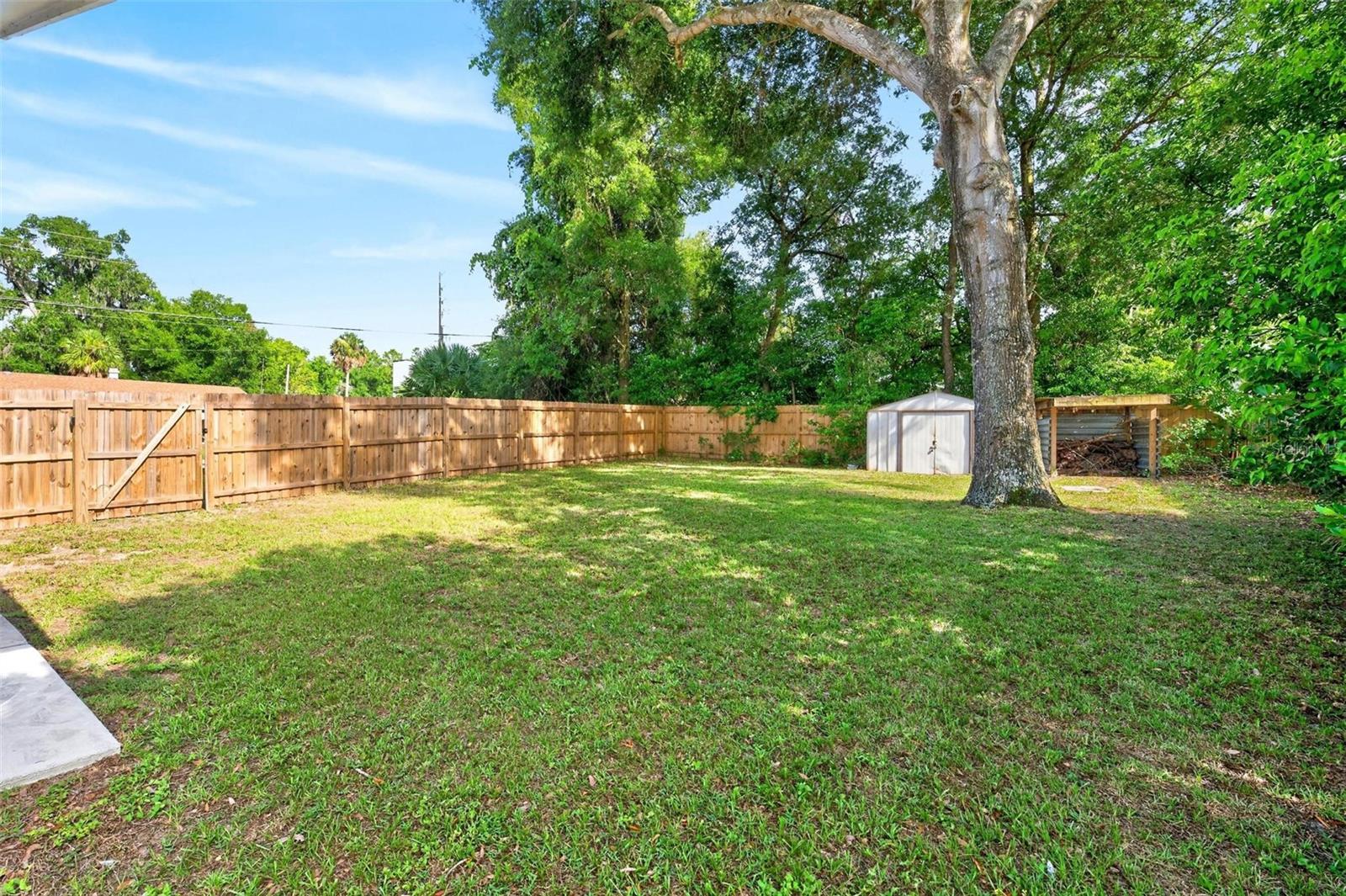 1125 Tremain, Mount Dora, FL 32757