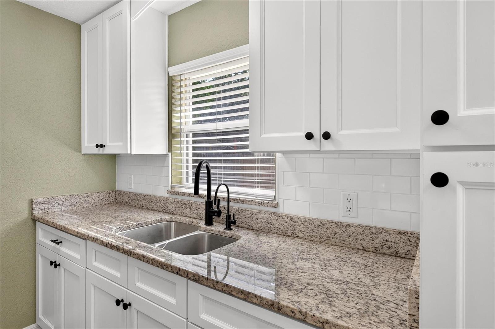 1125 Tremain, Mount Dora, FL 32757