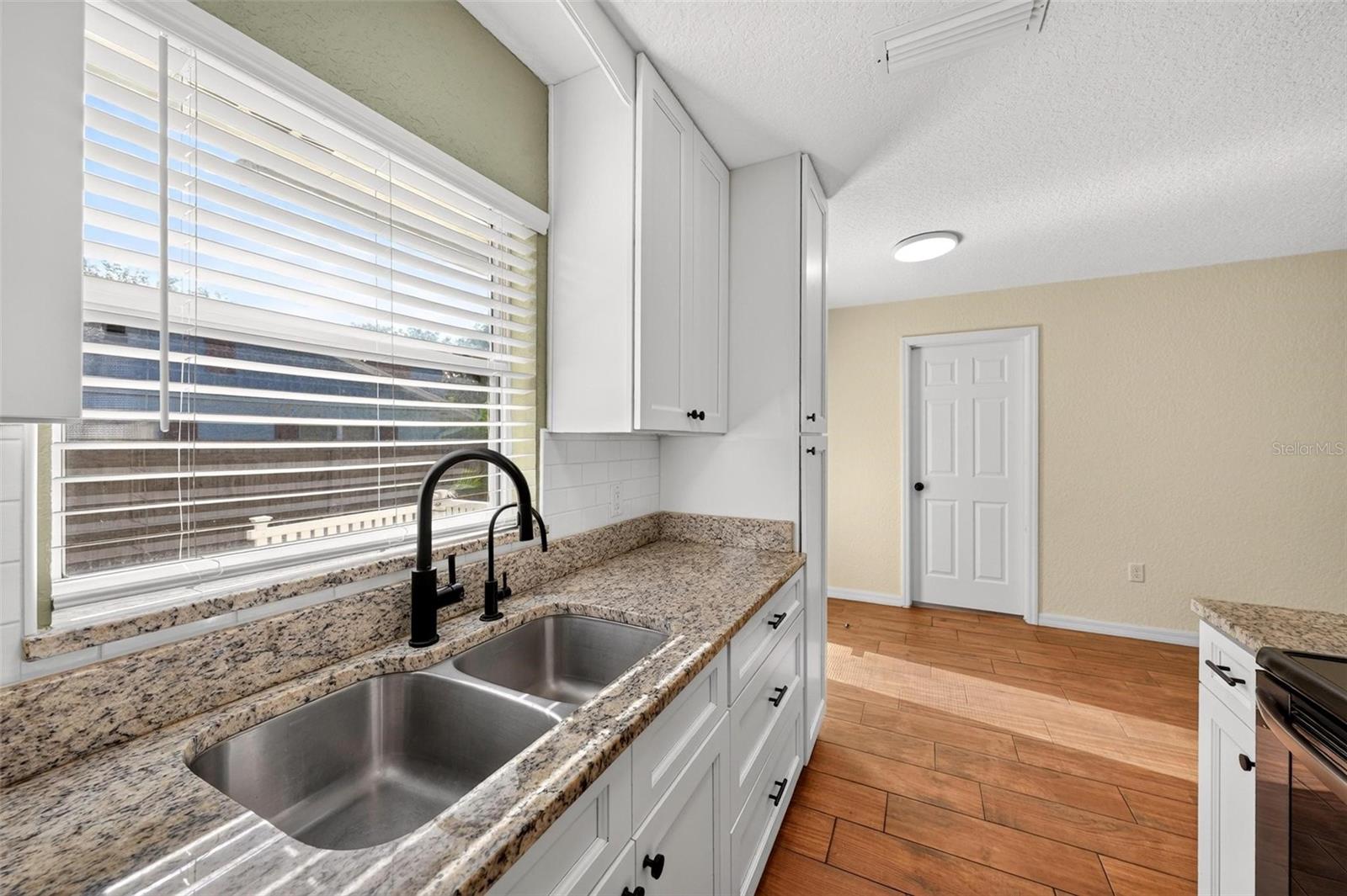 1125 Tremain, Mount Dora, FL 32757