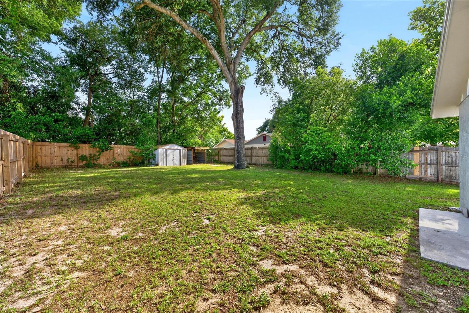 1125 Tremain, Mount Dora, FL 32757