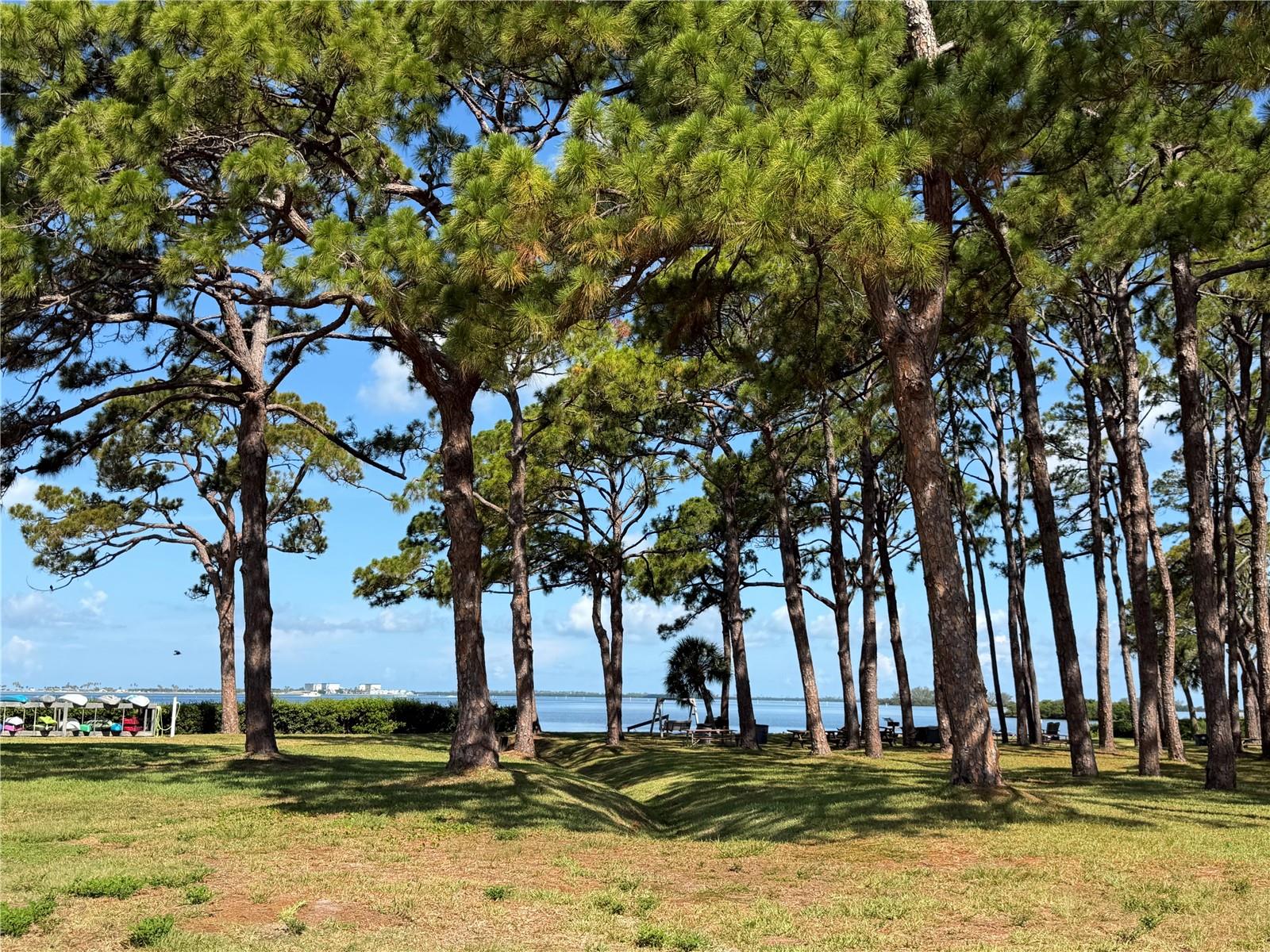 2700 Bayshore Unit 2108, Dunedin, FL 34698