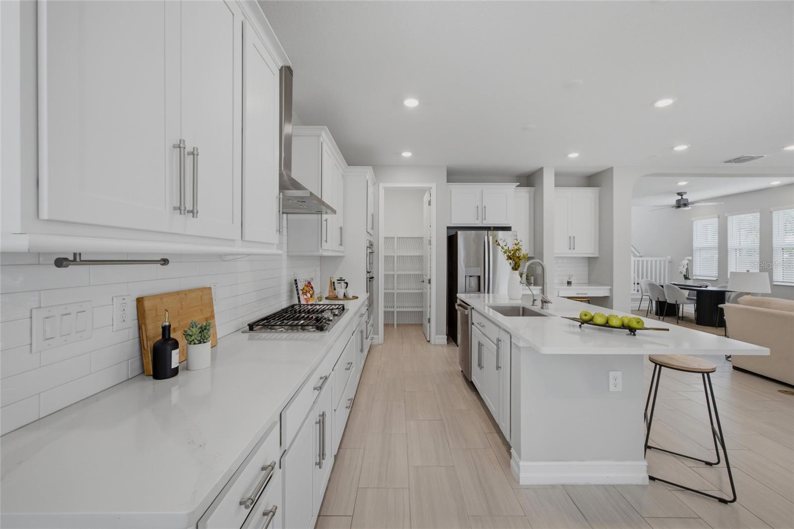 4667 San Martino, Wesley Chapel, FL 33543