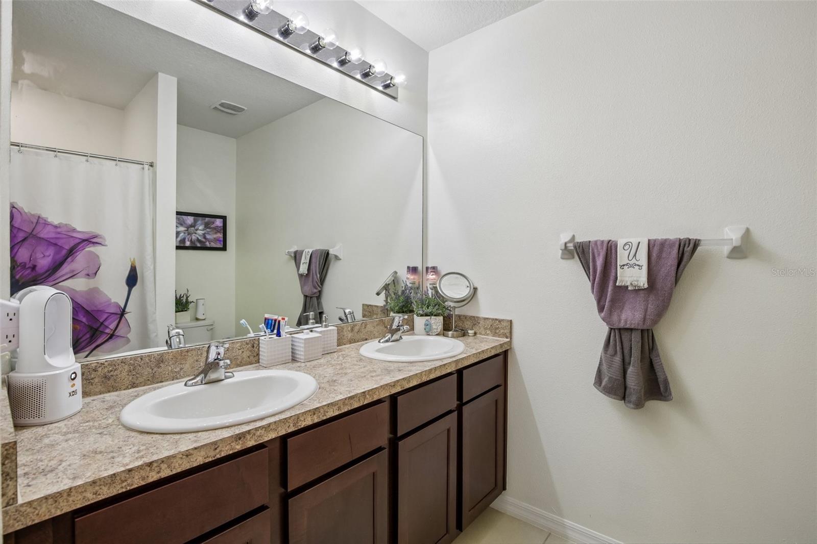 11008 Leland Groves, Riverview, FL 33579