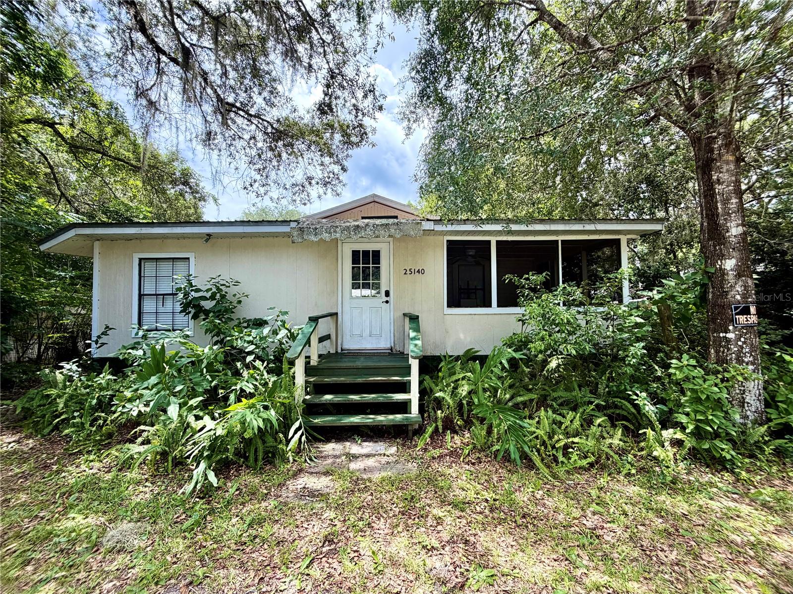 25140 133rd, Salt Springs, FL 32134