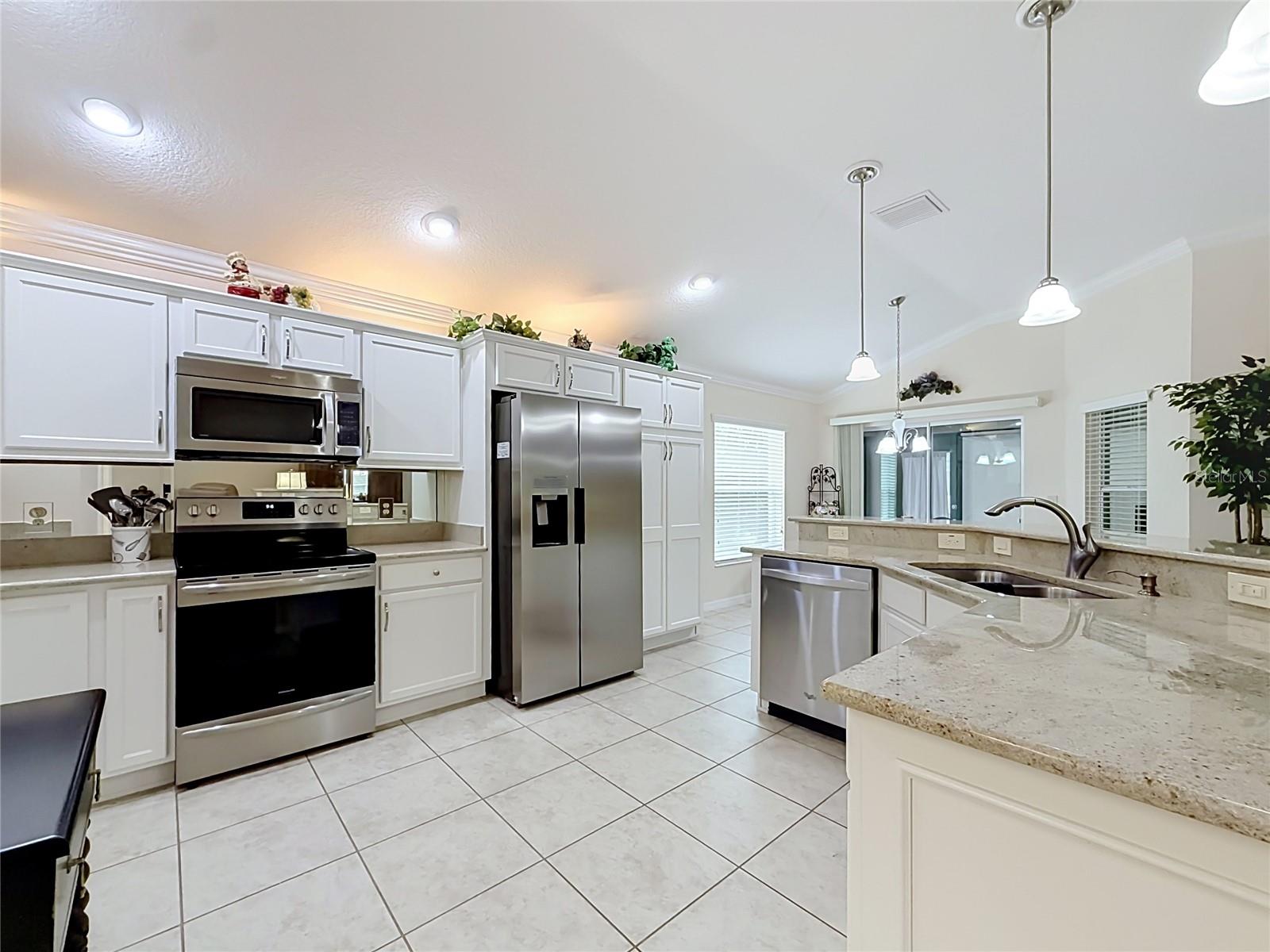 1967 Flowersville, The Villages, FL 32163