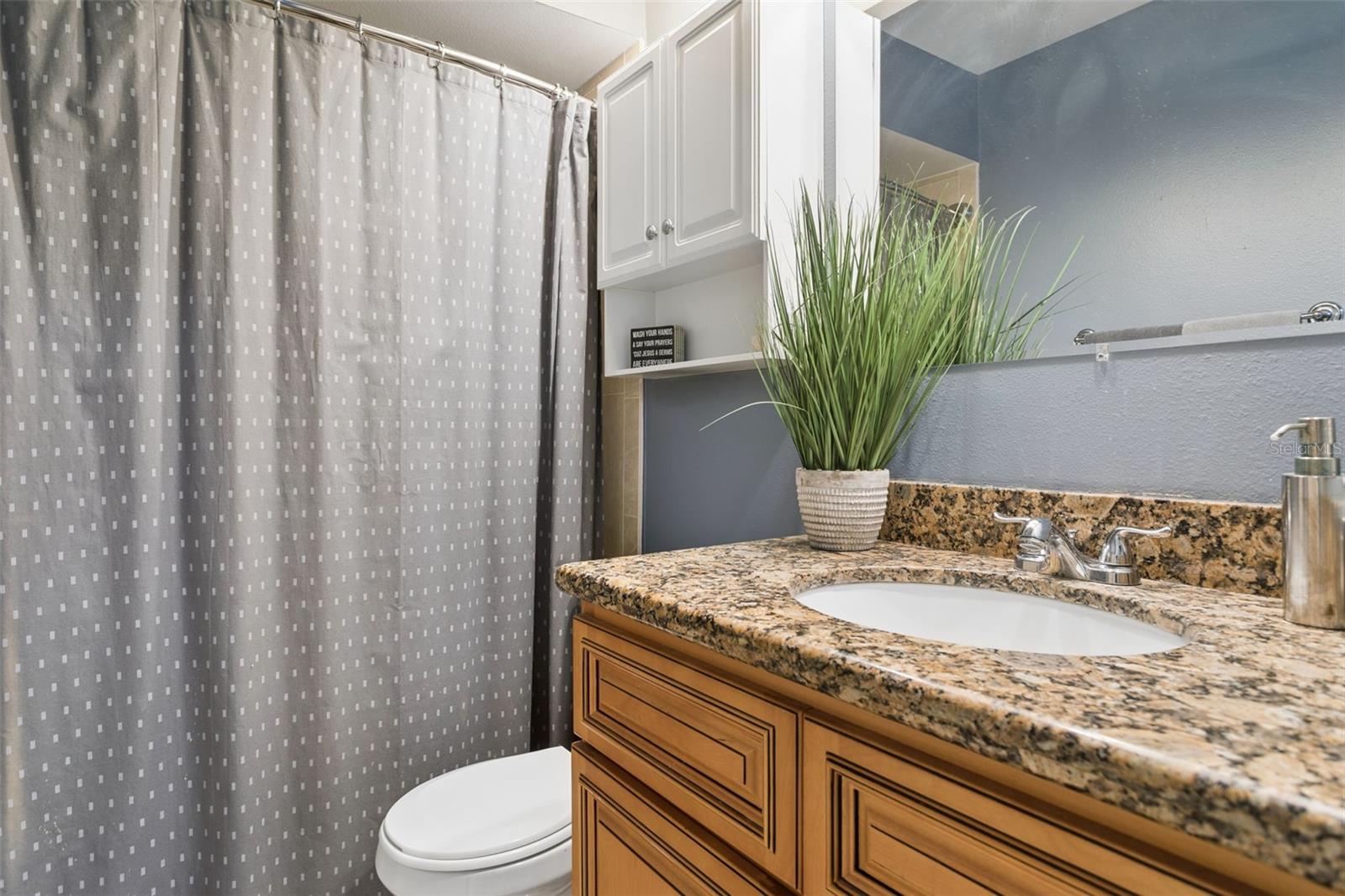 16117 Pebblebrook, Tampa, FL 33624