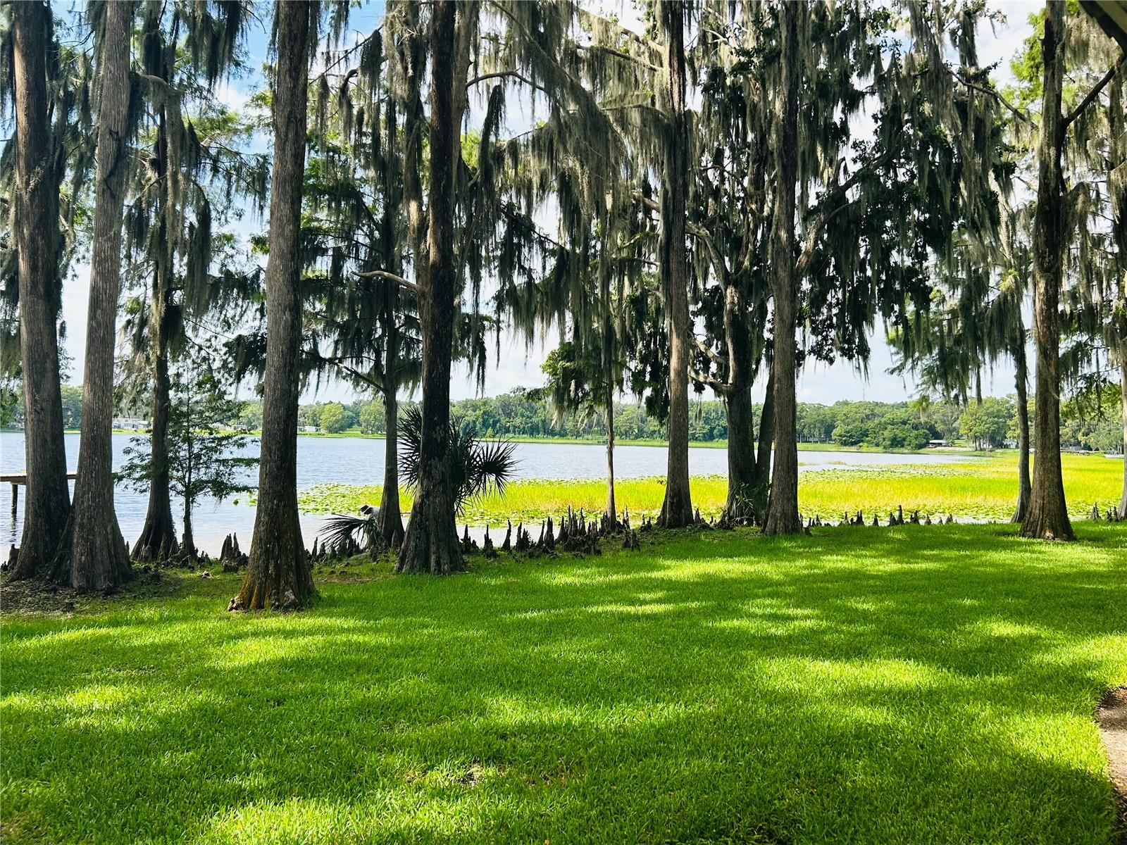 806 Windermere, Inverness, FL 34453
