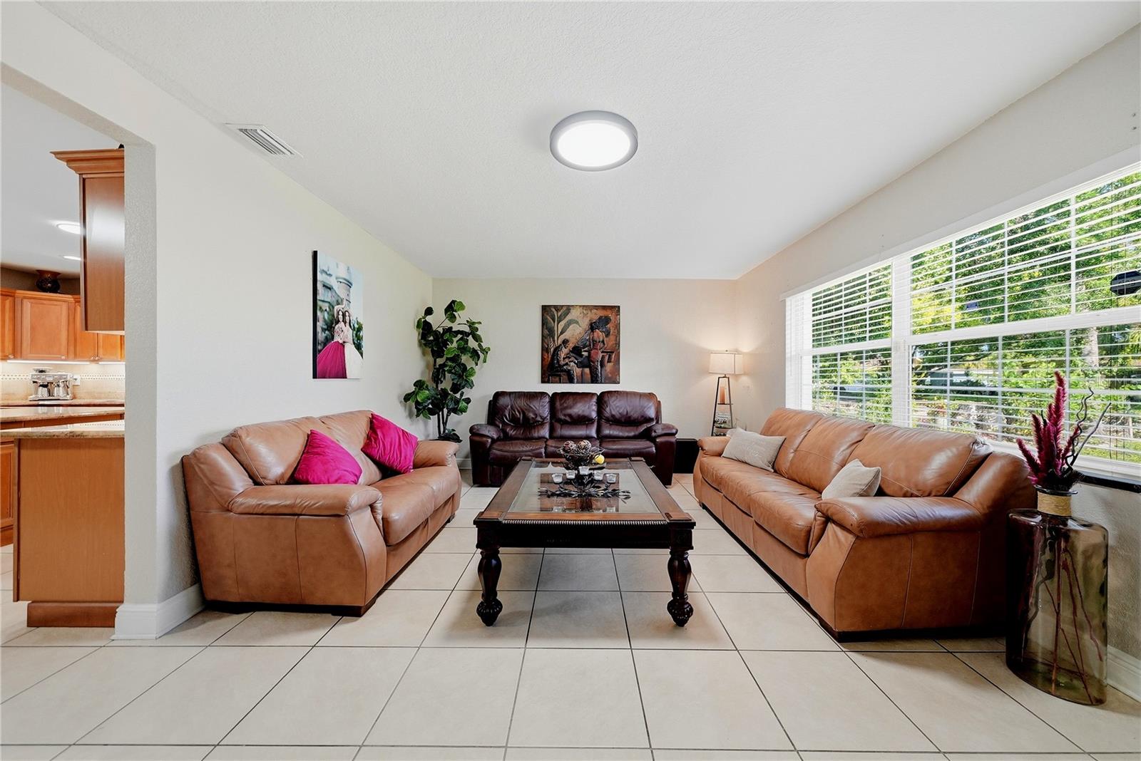 3006 Saint Conrad, Tampa, FL 33607