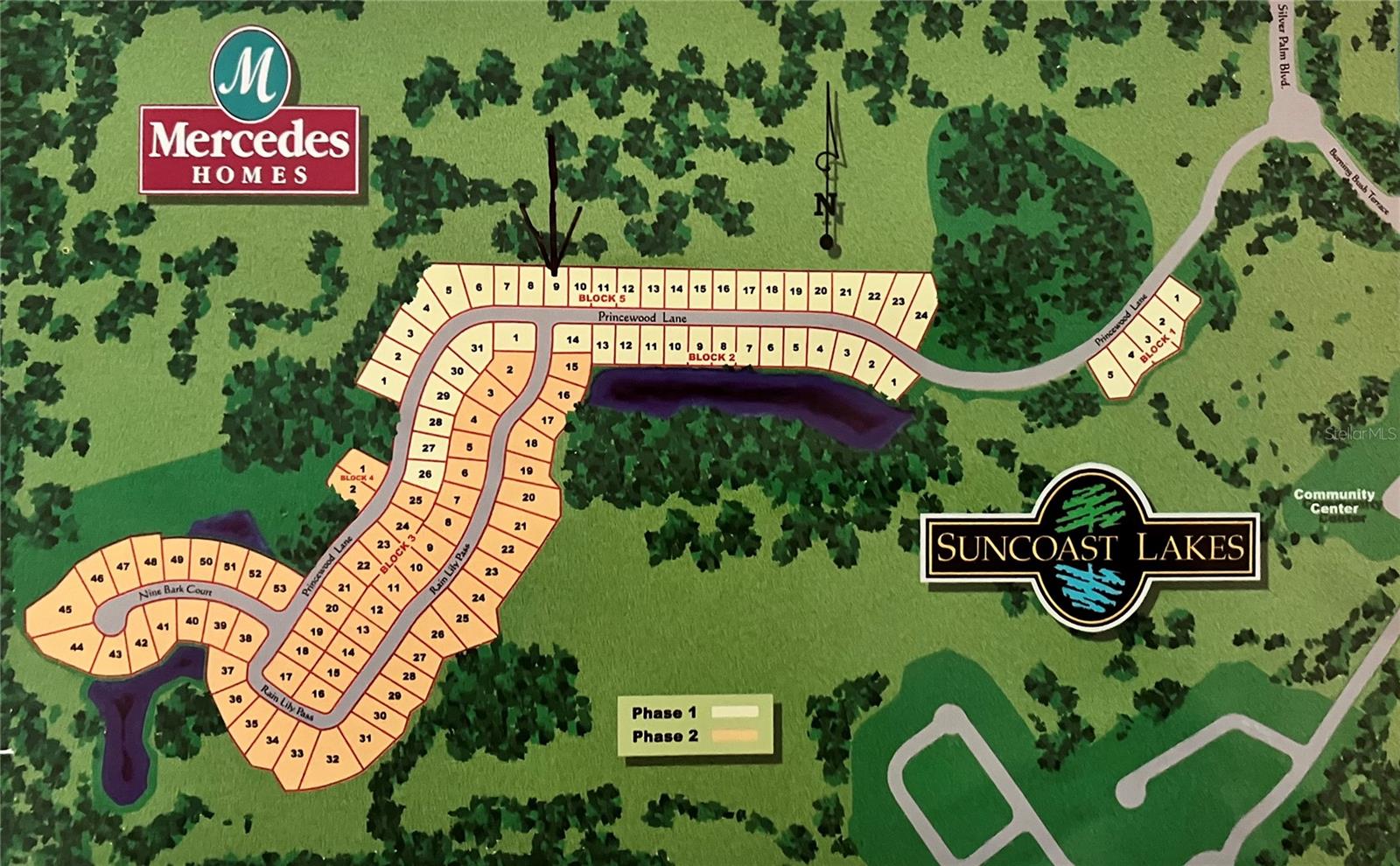 15041 Princewood, Land O Lakes, FL 34638