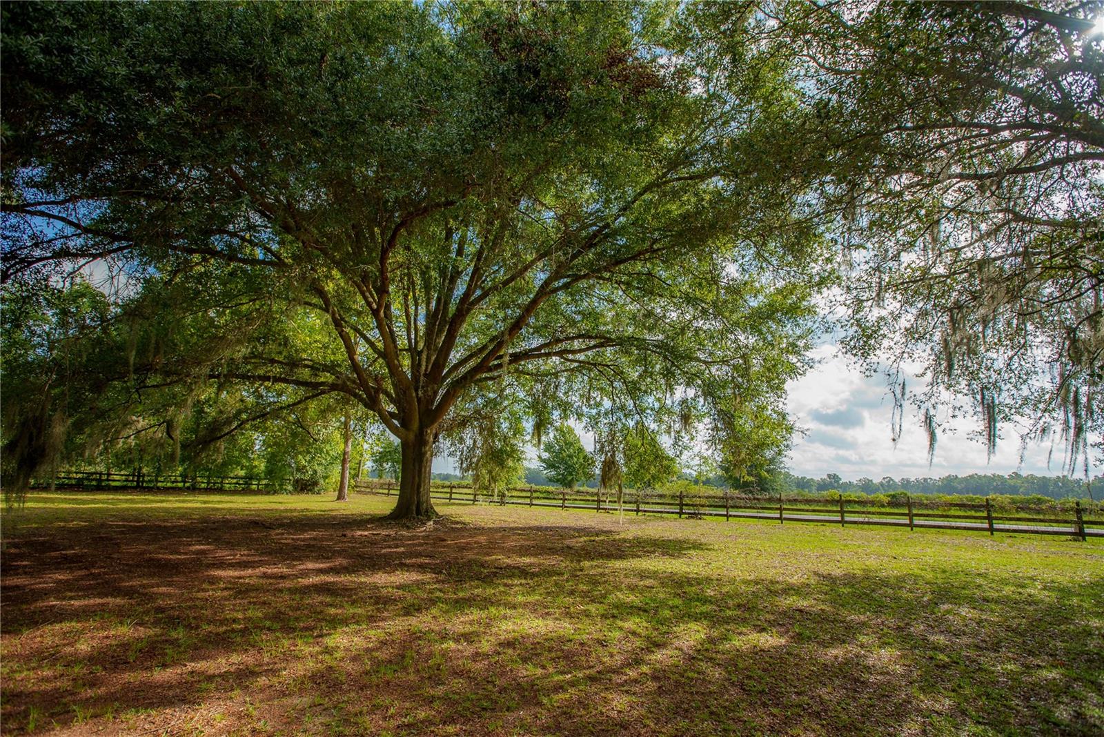 25518 County Road 241, Alachua, FL 32615