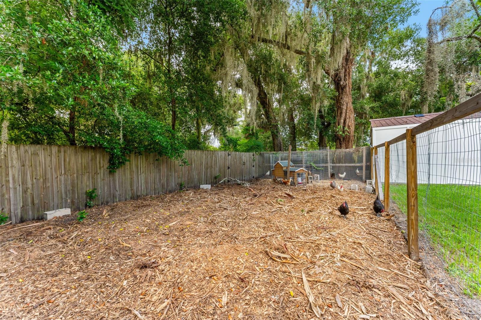 175 Grace, Altamonte Springs, FL 32714