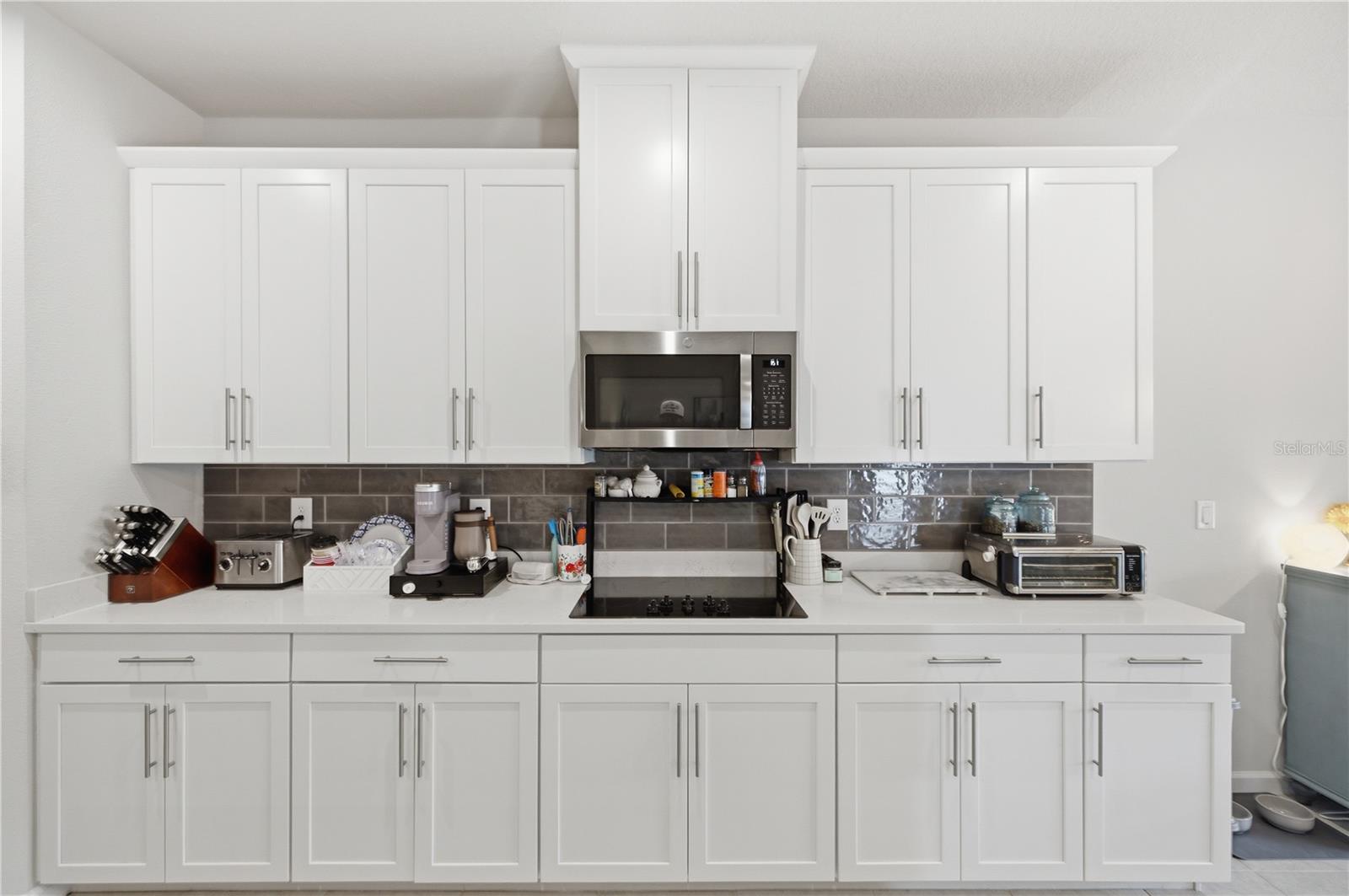 10188 Agave, Land O Lakes, FL 34638