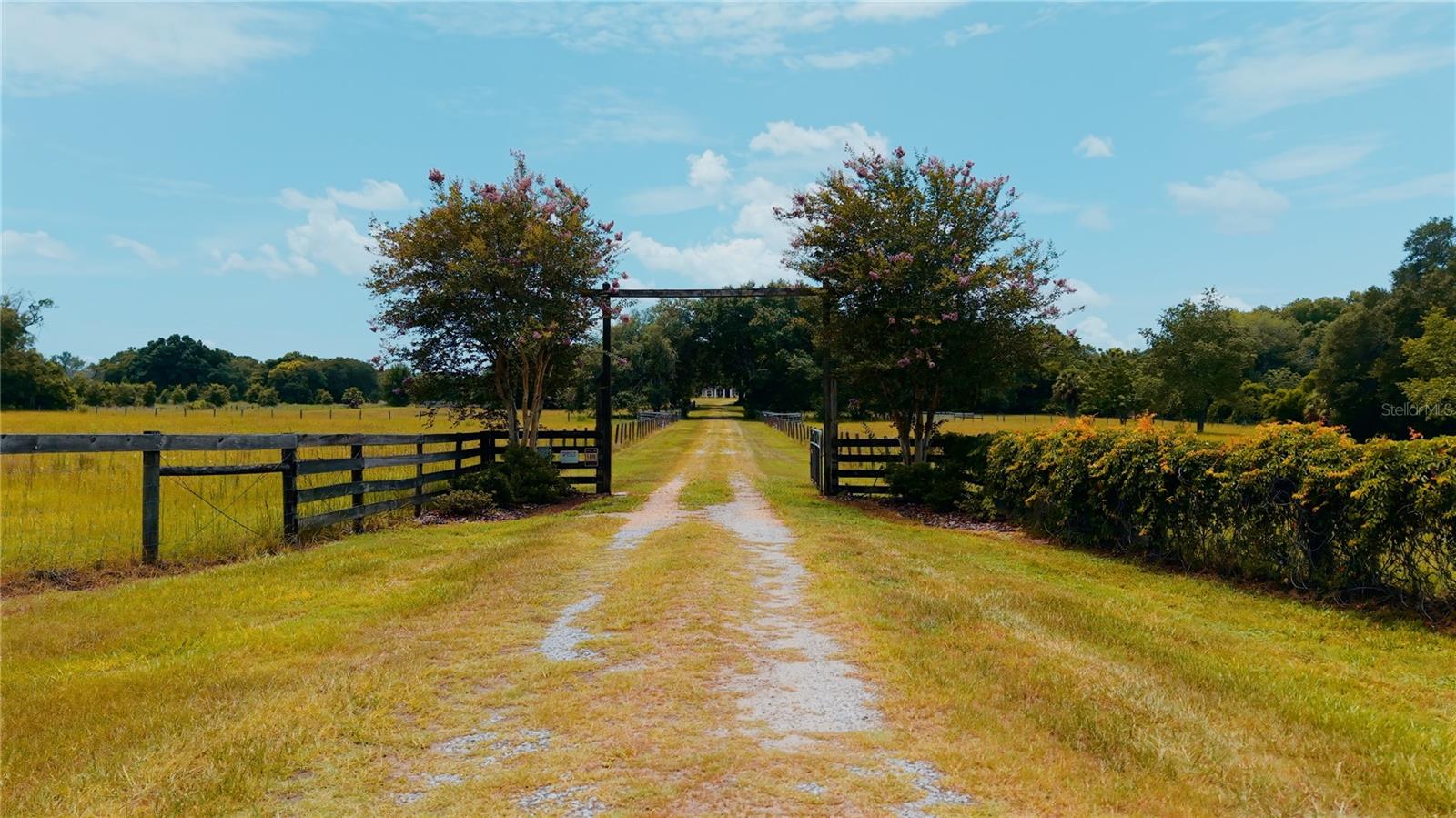 21341 Horse Ranch, Mount Dora, FL 32757