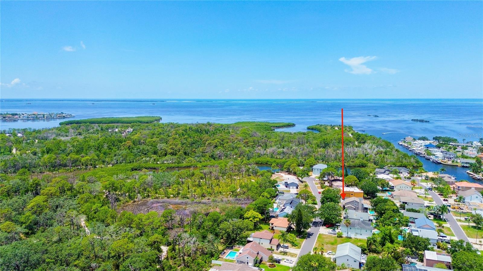 14 Baywood, Palm Harbor, FL 34683