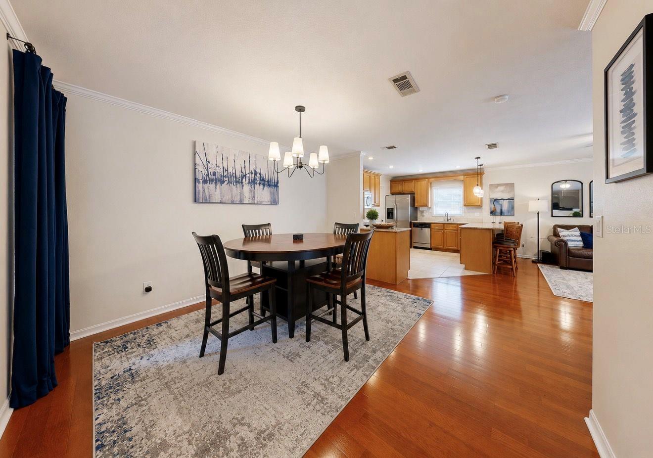 1005 Highgrove, Valrico, FL 33596