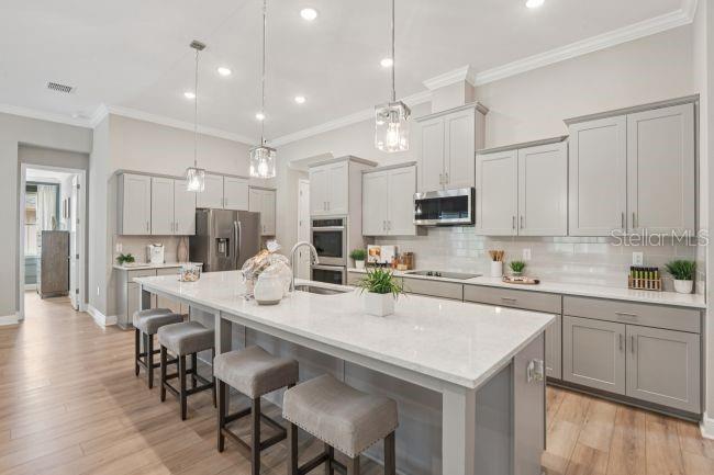 3919 Vino Tinto, Plant City, FL 33565