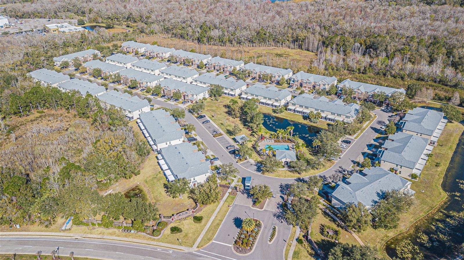 26544 Castleview, Wesley Chapel, FL 33544