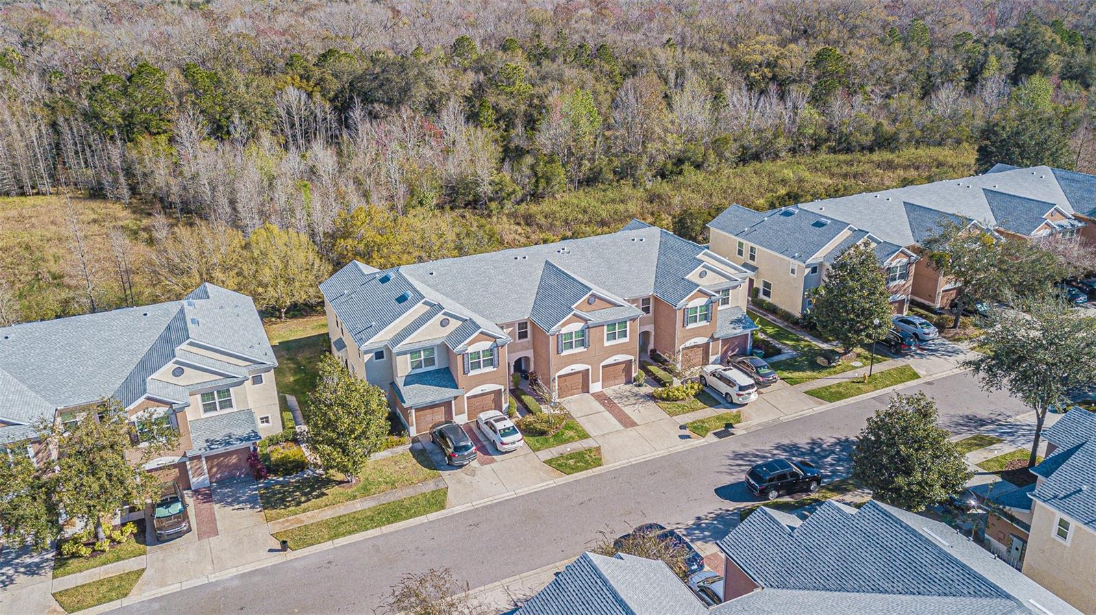 26544 Castleview, Wesley Chapel, FL 33544