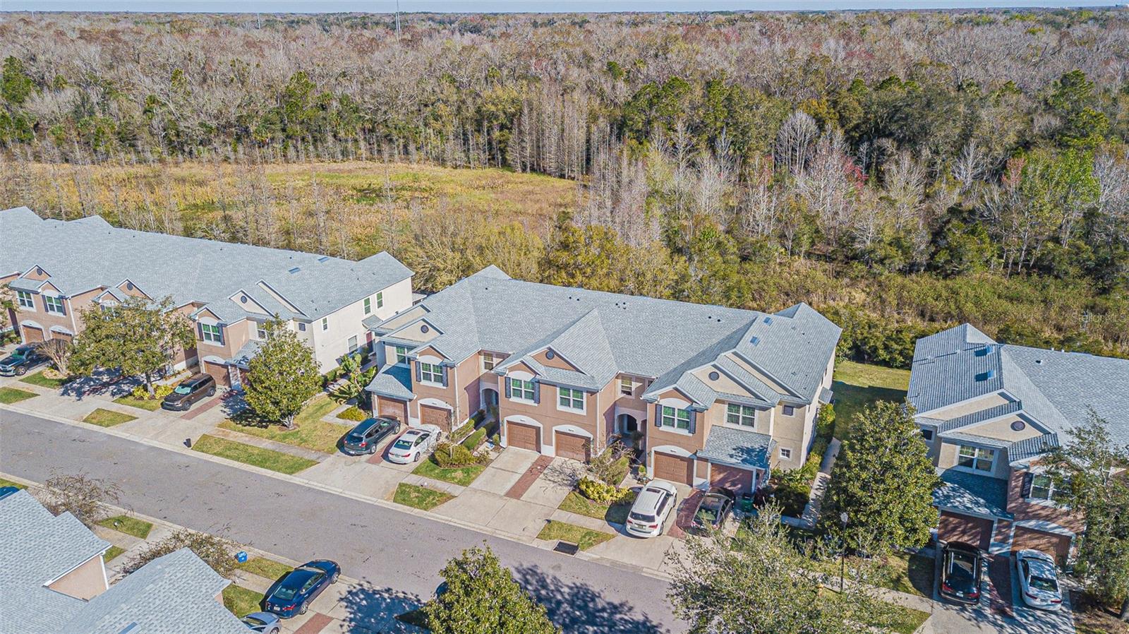 26544 Castleview, Wesley Chapel, FL 33544