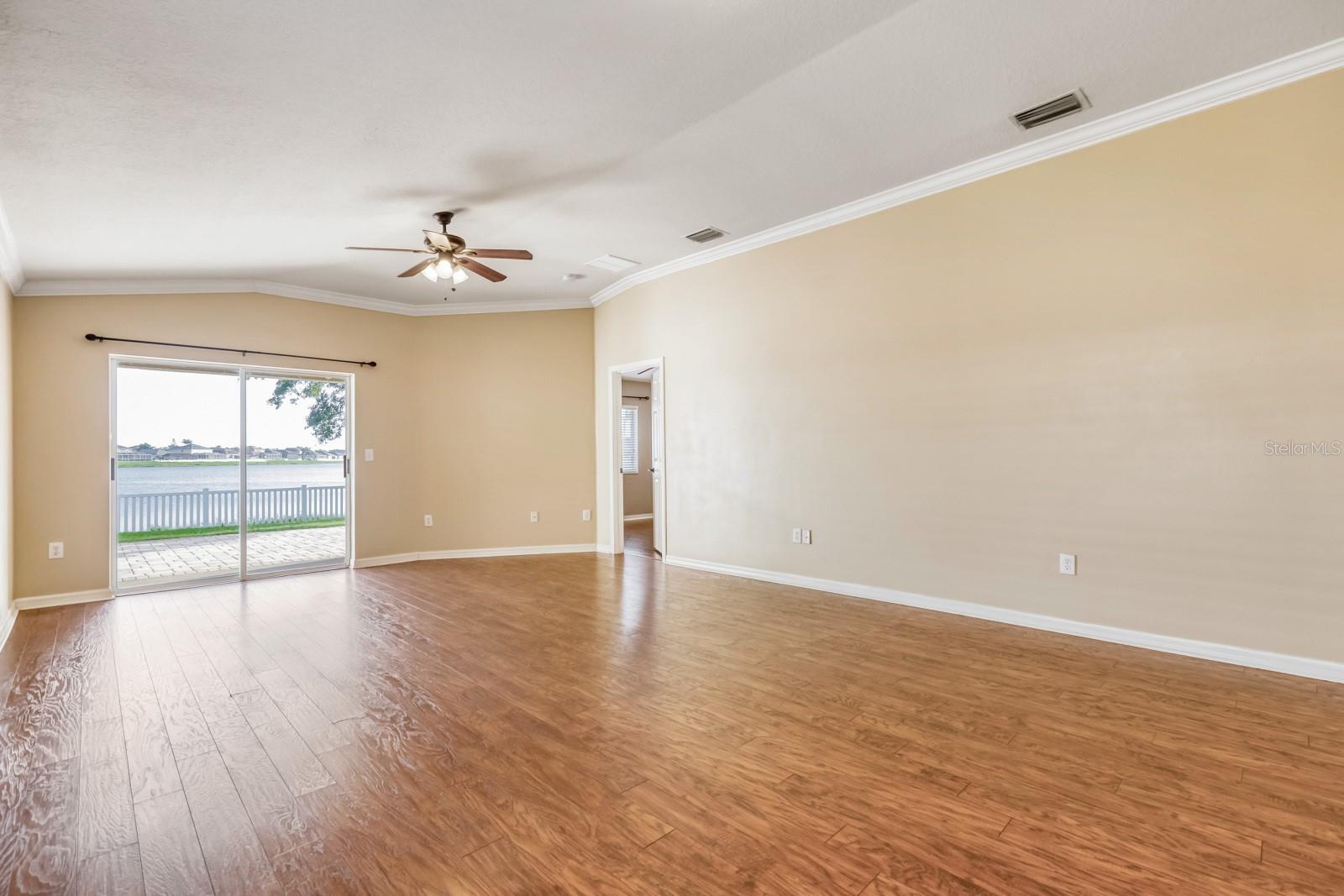 31209 Masena, Wesley Chapel, FL 33545