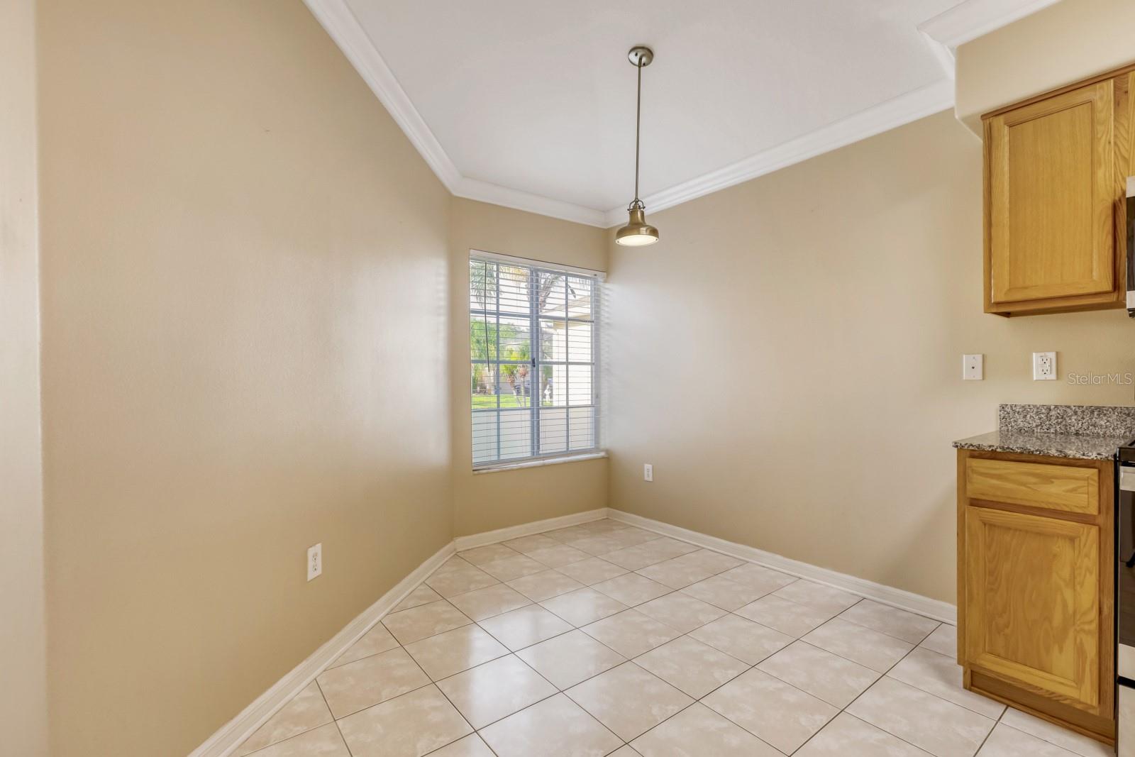 31209 Masena, Wesley Chapel, FL 33545