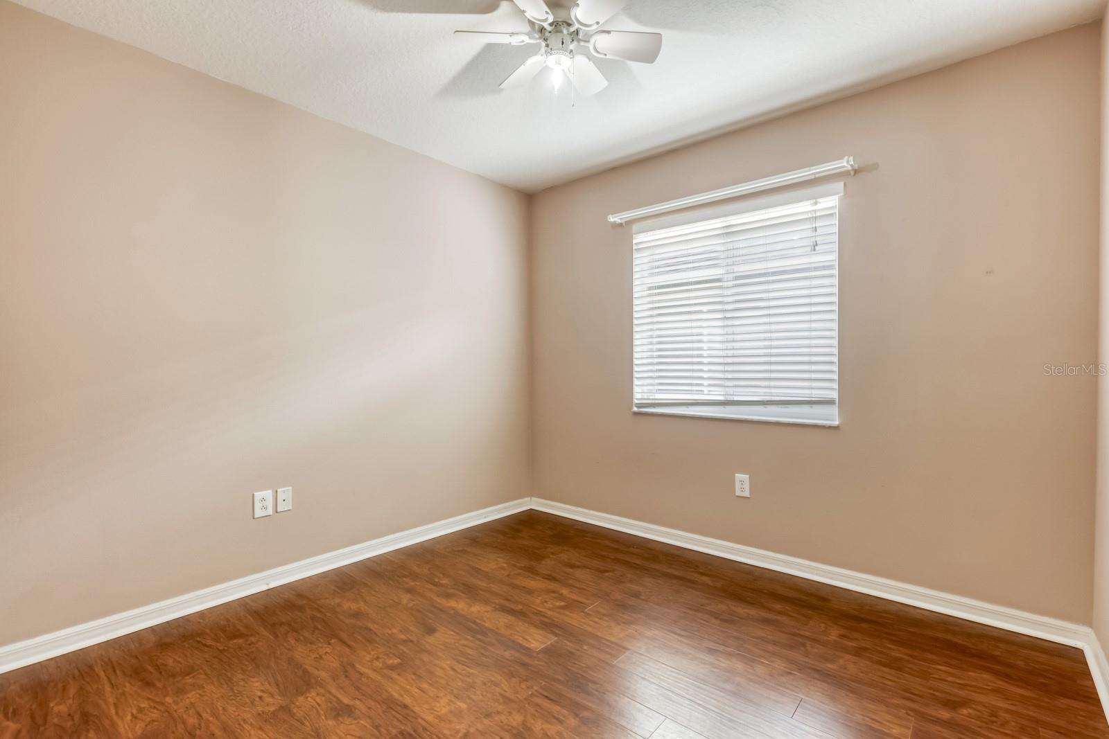 31209 Masena, Wesley Chapel, FL 33545