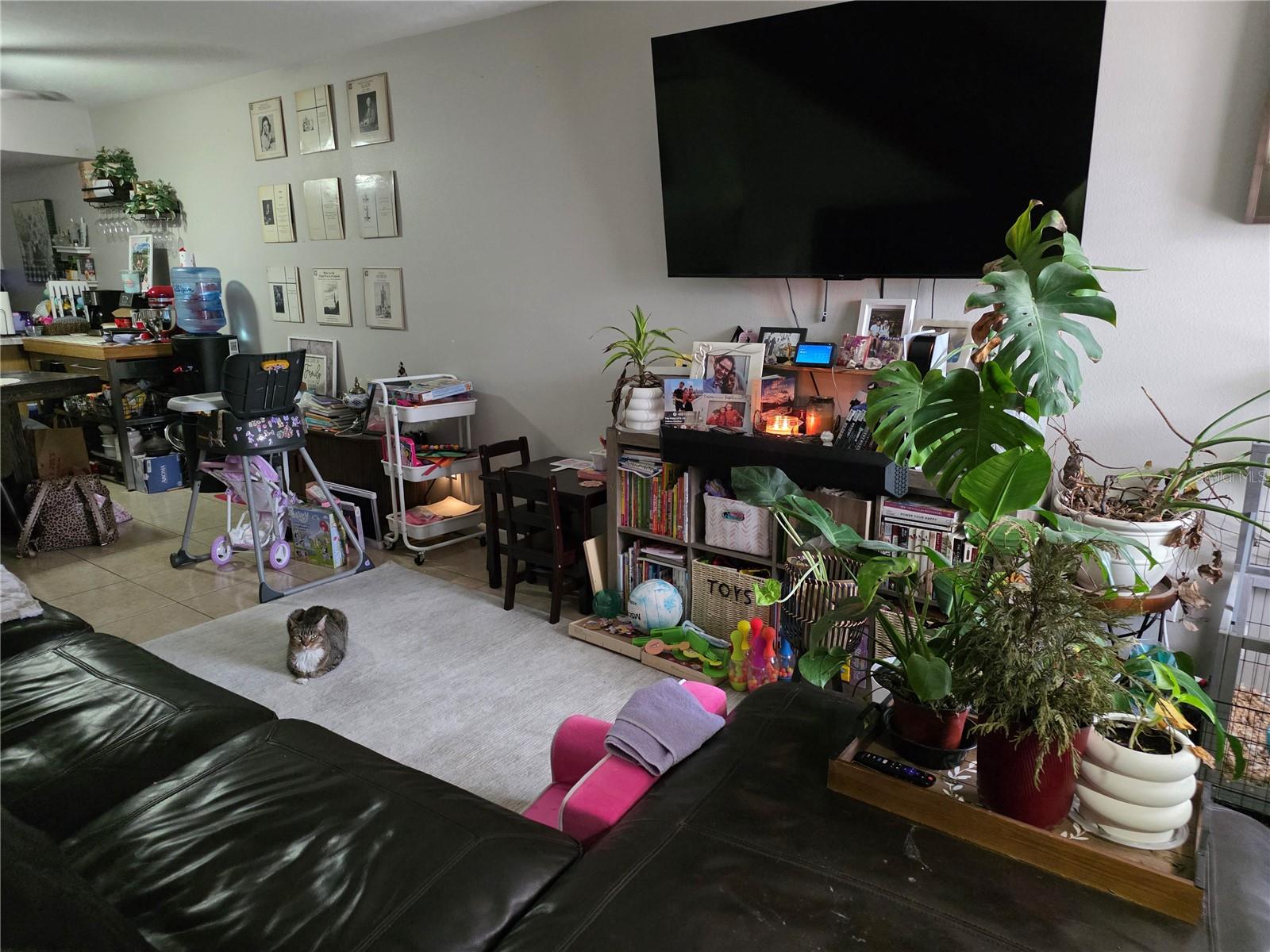 4823 Mcelroy Unit D211, Tampa, FL 33611