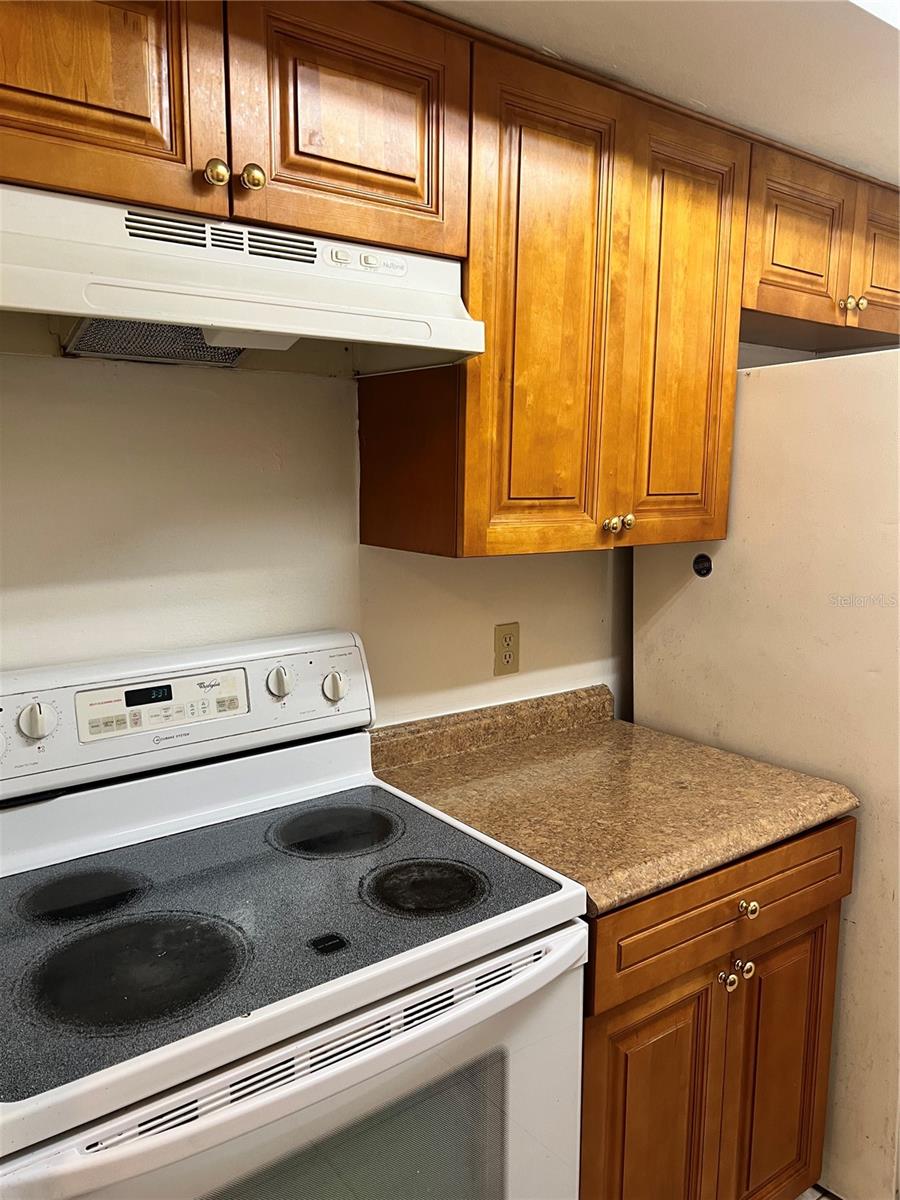 14308 Hanging Moss Unit 102, Tampa, FL 33613