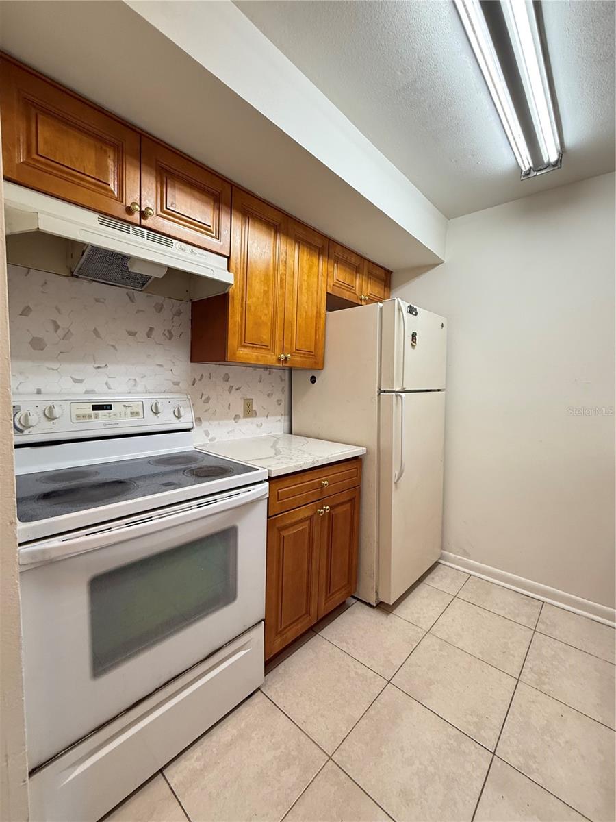 14308 Hanging Moss Unit 102, Tampa, FL 33613