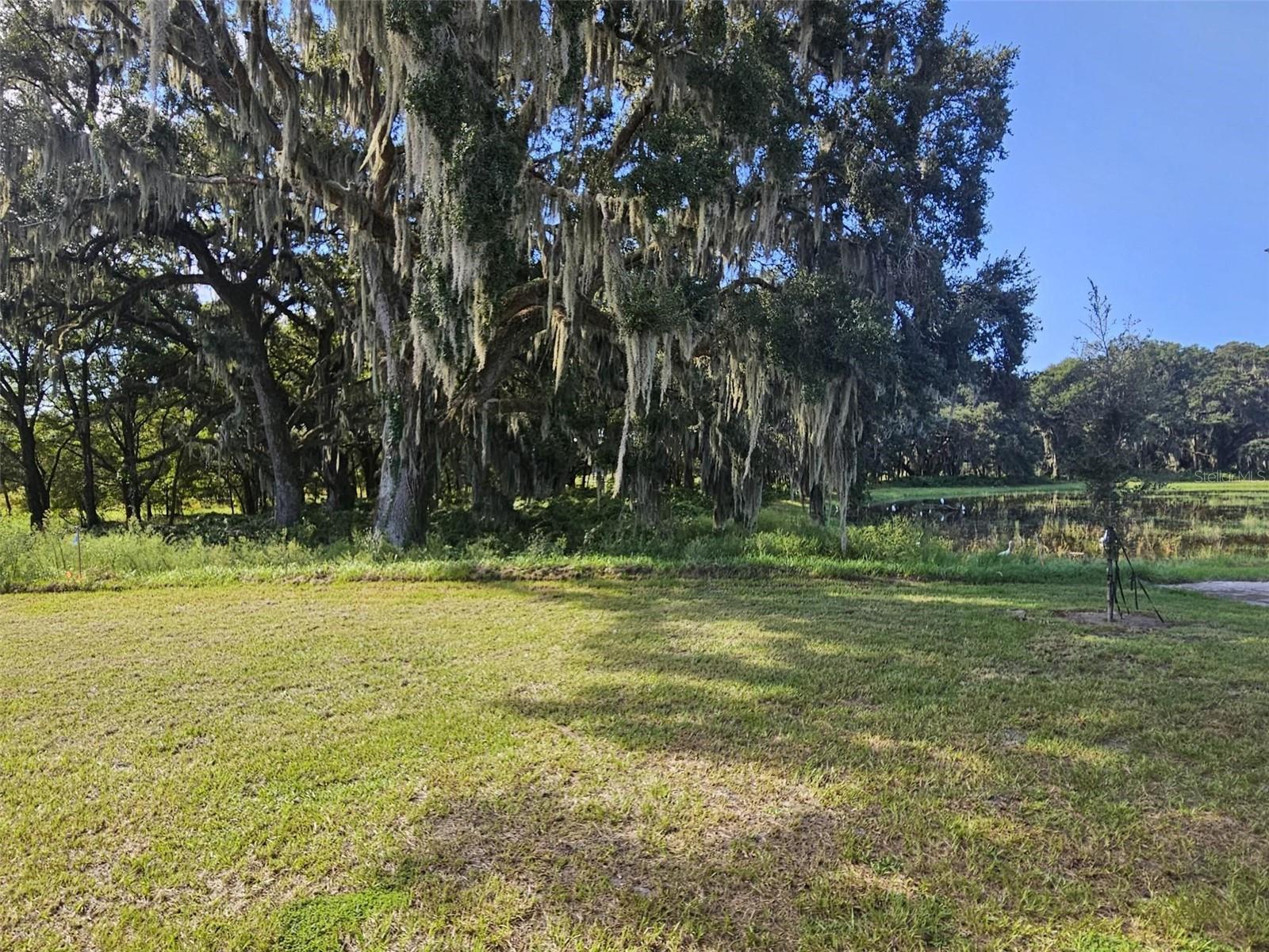 3014 Canopy Oak, Wildwood, FL 34785
